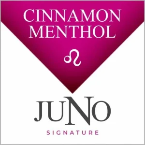 Juno Disposable Pod 4 Pack LEO Cinnamon Menthol