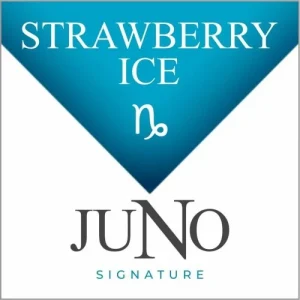 Signature Collection 4pk Juno Pods - CAPRICORN - Strawberry Ice
