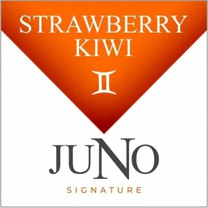 Signature Collection 4pk Juno Pods - GEMINI - Strawberry Kiwi