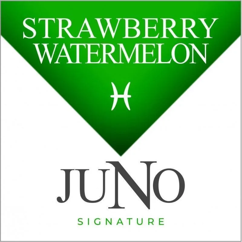 Signature Collection 4pk Juno Pods - PISCES - Strawberry Watermelon