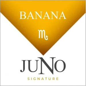 Signature Collection 4pk Juno Pods - SCORPIO - Banana