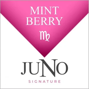 Signature Collection 4pk Juno Pods - VIRGO - Mint Berry